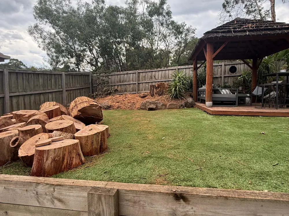Cut timber rounds stacked on a lawn after a tree removal