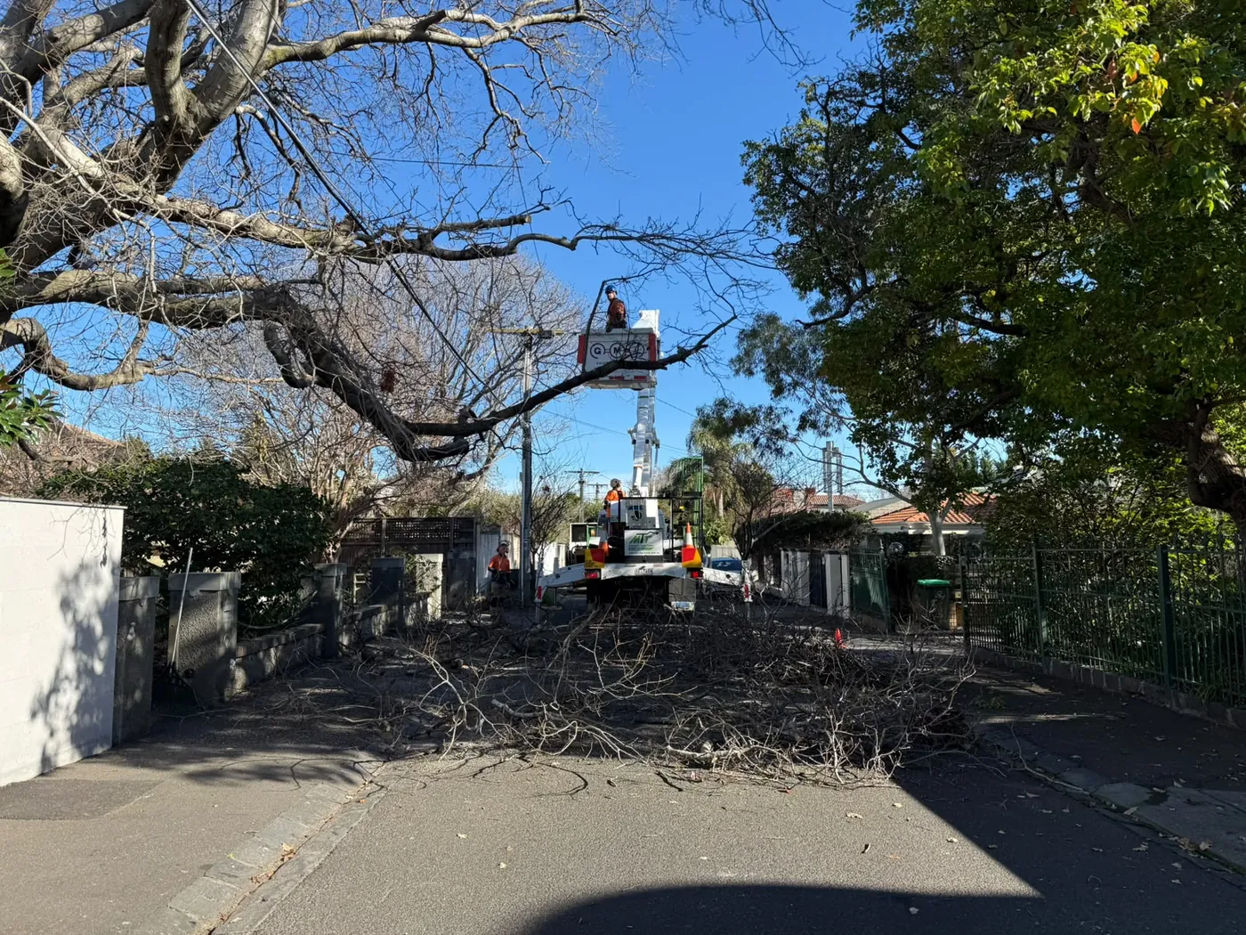 Tree crew clearing felled branches from a Melbourne street after a removal